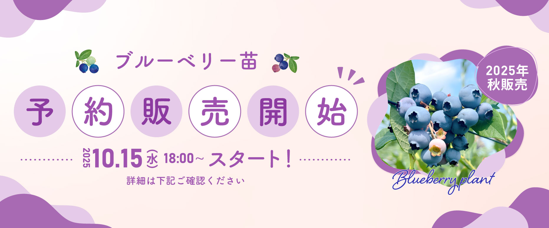 2025ǯ٥֥롼٥꡼ͽճΤΤ餻